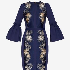 NWOT Ted Baker Jeeane Stardust flute-sleeve dress